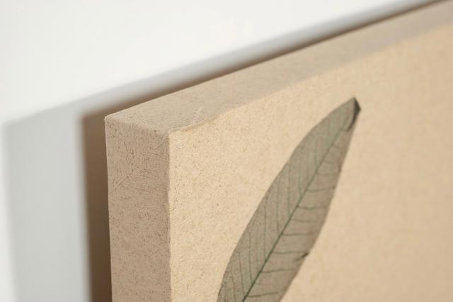 Rockfon SENSES Leaves 1760x1160x40